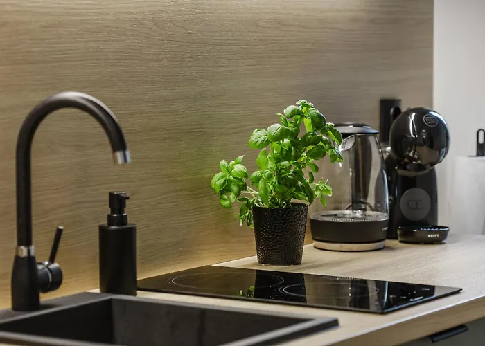 Center By Kramm - Mieszkanie W Sercu Poznania アパート *